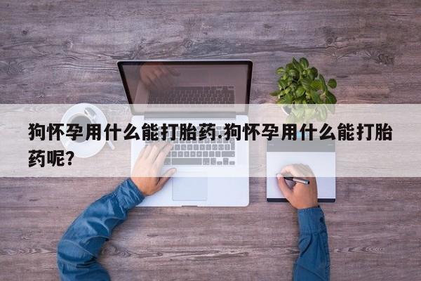 网上卖打胎药的微信狗怀孕用什么能打胎药.狗怀孕用什么能打胎药呢？