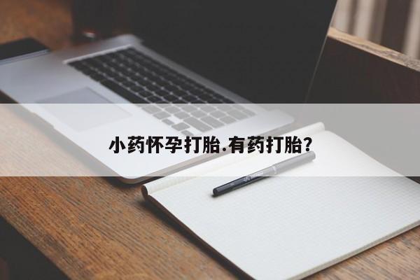 网上卖打胎药的微信小药怀孕打胎.有药打胎？