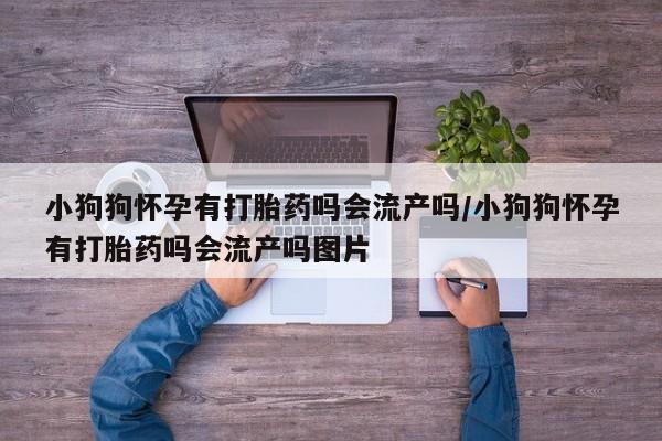 网上卖打胎药的微信小狗狗怀孕有打胎药吗会流产吗/小狗狗怀孕有打胎药吗会流产吗图片