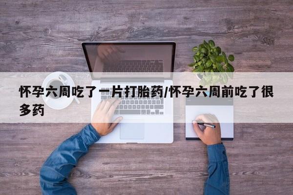 网上卖打胎药的微信怀孕六周吃了一片打胎药/怀孕六周前吃了很多药