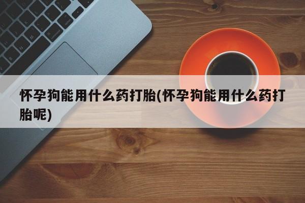 网上卖打胎药的微信怀孕狗能用什么药打胎(怀孕狗能用什么药打胎呢)