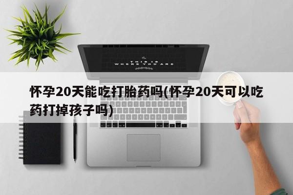 网上卖打胎药的微信怀孕20天能吃打胎药吗(怀孕20天可以吃药打掉孩子吗)